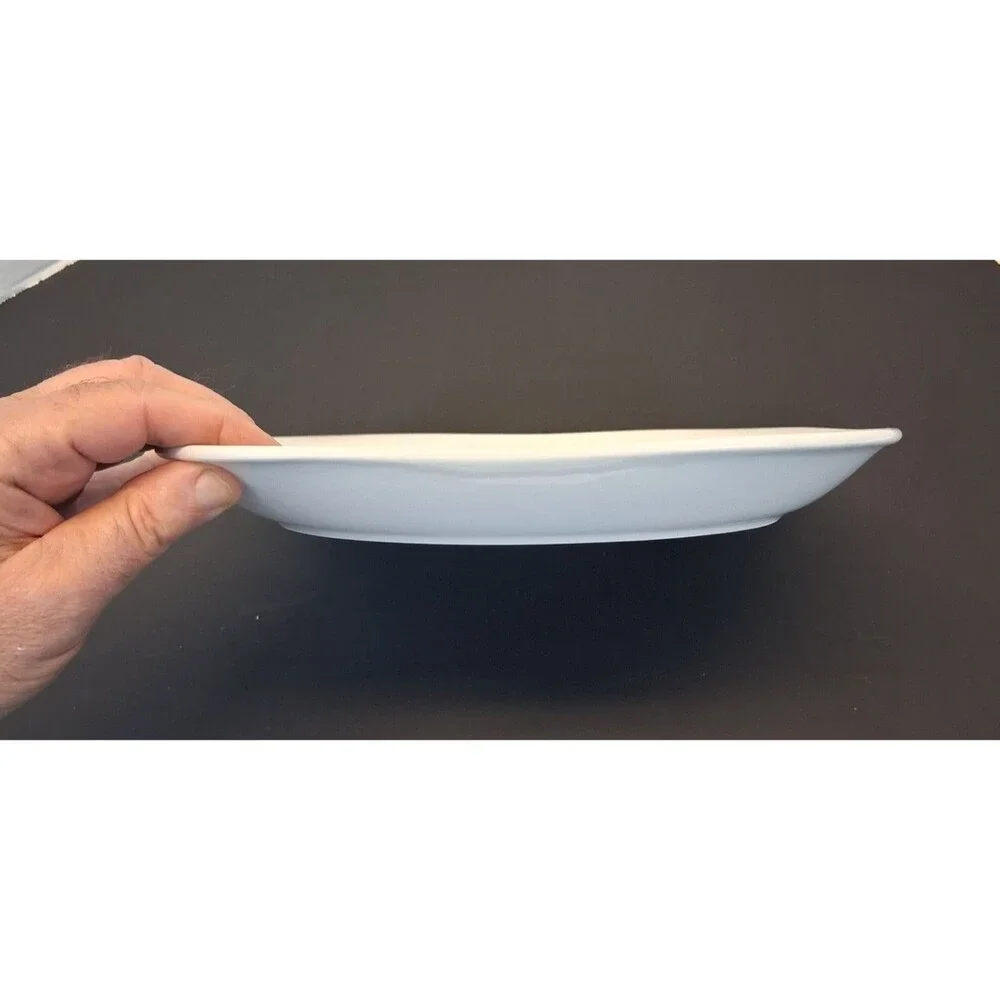 LNT Home dinner plate